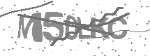 visual captcha